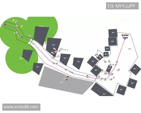 南京排球队战术揭秘：从训练到比赛的全景分析与深度剖析