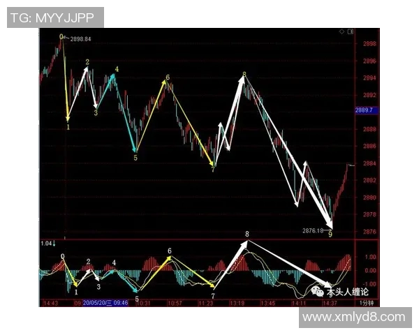 杭州飞盘队反击战术解析与实战应用探讨