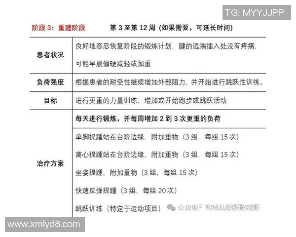 运动损伤预防与康复策略研究：从基础理论到实践应用分析